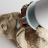 نگهدارنده بطری طرح خرگوش تیپسی بان